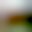 BlurHash 32x32