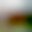BlurHash 32x32