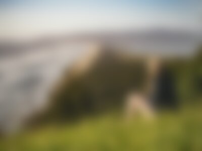 blur(20)