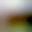 BlurHash 32x32